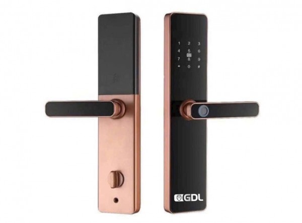 Khóa Vân Tay 168L Màu Viền Đồng